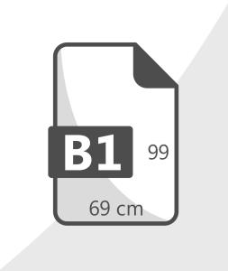 B1