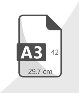A3